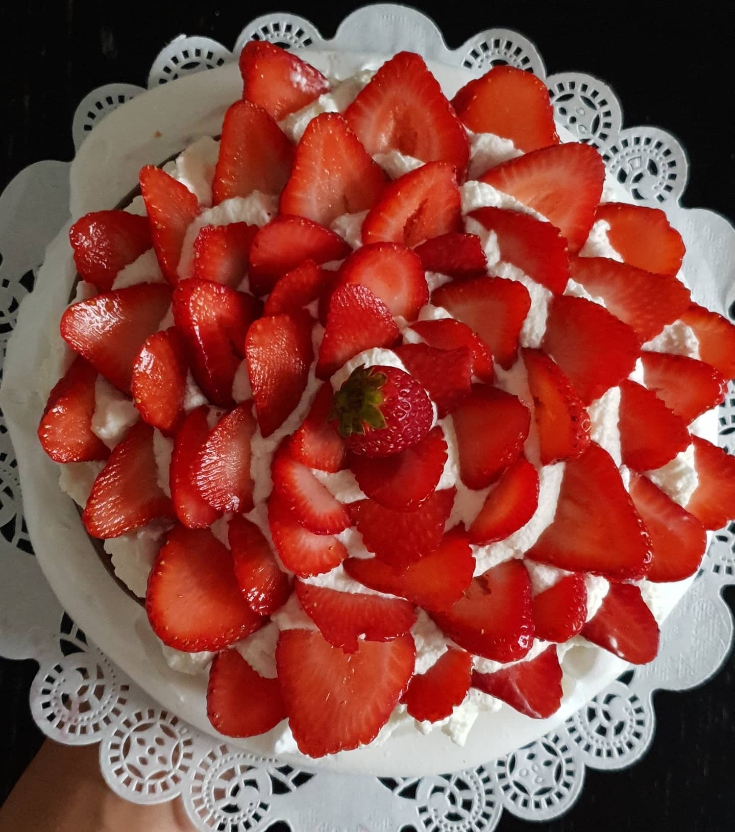 Pavlova